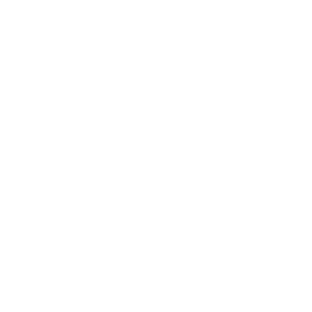 Paddle Out AI logo